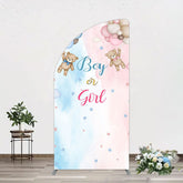 Lofaris Balloon Teddy Baby Shower Gender Reveal Half Moon Arch Backdrop